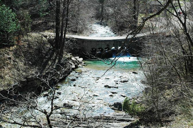 LA MIA VALLOMBROSA